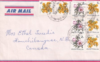 FILATELIE TEMATICA - PLIC AUSTRALIA TEMATICA FLORA FLORI AIRMAIL foto