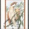 Oman 1973 Parrots, mini imperf.sheet, used T.095