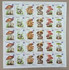 PARAGUAY 1984 CIUPERCI COTA MICHEL 56 EURO foto
