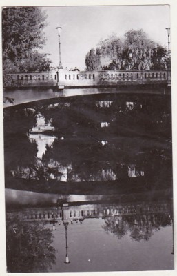 bnk cp Timisoara - Pod peste Bega - circulata foto