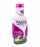 Spuma de baie cu mure si mosc, 1000ml, Malizia