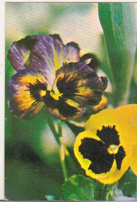 bnk cld Calendar de buzunar - 1989 - Mecanoexportimport Bucuresti foto