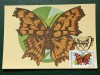 Romania 1991 - fluturi, CM