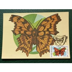 Romania 1991 - fluturi, CM 1