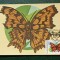 Romania 1991 - fluturi, CM