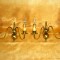 Aplice alama stil Baroc Victorian, vintage