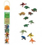 Tub Broaste si testoase