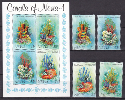 Nevis 1983 fauna marina corali MI 84-87 + bl.2 MNH foto