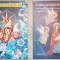 2x Discuri cu colinde si muzica de sarbatori - electrecord (aproape noi)