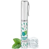 Secretplay Cosmetic-Spray Oral Revigorant Mentă, 11 G