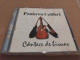 CD Pasarea Colibri - Cantece de bivuac