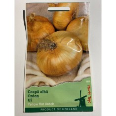 Seminte Ceapa Alba Noordholandse 2 g.