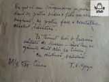 Scrisoare scrisa si semnata olograf Veturia Goga