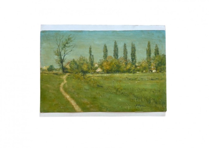Alfons Vezoc - Peisaje banatene - Tablou