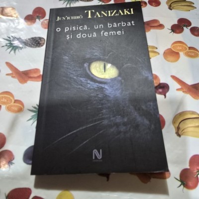 O pisica, un barbat si doua femei - un Ichiro Tanizaki foto