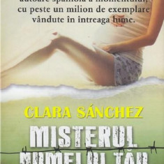 Misterul numelui tau | Clara Sanchez