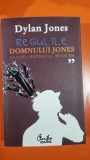 Regulile domnului Jones - Dylan Jones