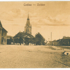 3615 - CODLEA, Brasov, Market, Romania - old postcard - unused