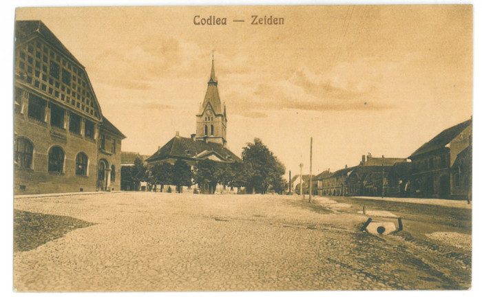 3615 - CODLEA, Brasov, Market, Romania - old postcard - unused
