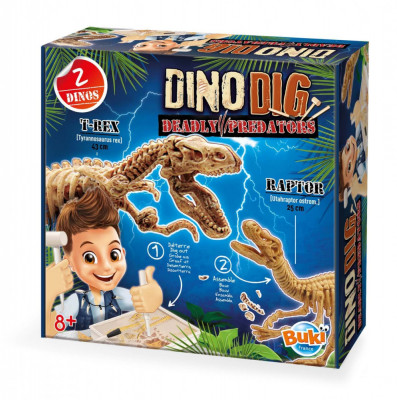 Kit de sapat - Dinozaur foto