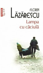 Lampa cu caciula/Florin Lazarescu foto