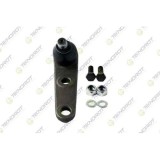Pivot brat suspensie Ford Fiesta Box / Lifback (Fvd), Fiesta 2 (Fbd), 1.0, 1.0 (FBD), 1.1 (FBD), 1.3 (FBD), 1.4, 1.4 (FBD), 1.6 D (FBD), 1.6 XR2 (FBD, Teknorot