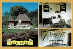 Carte postala CP HD067 Hunedoara - Libita - Casa Memoriala Crisan