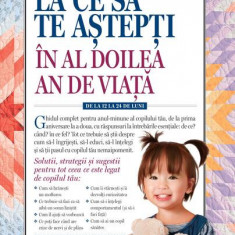 La ce să te aștepți în al doilea an de viață: de la 12 la 24 de luni - Paperback brosat - Heidi Murkoff - Lifestyle