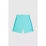 Athleisure Bermuda, Champion