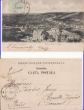 Slatina -Moara Olteanca- clasica, TCV, rara