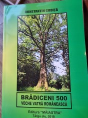 Constantin Codita - Bradiceni 5 - Veche vatra Romaneasca foto