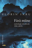 Fără m&icirc;ine (antologie de poezii, 1981-2019) - Paperback - Florin Iaru - Rocart