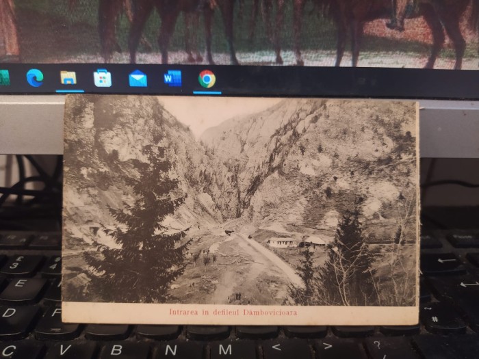 Intrarea &icirc;n defileul D&acirc;mbovicioara, circa 1910, 205
