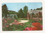 RF1 -Carte Postala- Timisoara, parcul Trandafirilor , circulata 1986