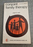 Conjoint family therapy Virginia Satir