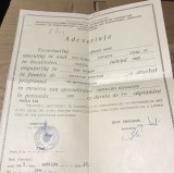 (2) Act Adeverinta