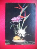 HOPCT 25110 TRANDAFIRI FLORI -FELICITARE ANIVERSARA -CP VECHE -IP--INTREG POSTAL - ROMANIA - CIRCULATA