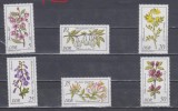 A12 S4 3 - Timbre foarte vechi - Fosta Germanie Democrata - DDR - flori, Germania, Flora, Nestampilat