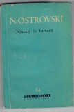 Nascuti in furtuna, N. Ostrovski