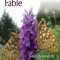 An Invertebrate Fable