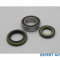 Kit rulmenti spate Hyundai H100 H-100 (1993-2004) #1