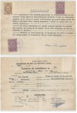 Romania, Declaratie, Hateg, 1965