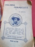 D. Anghel - Oglinda Fermecata