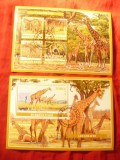 2 Blocuri Burkina Faso 2019 Fauna - Girafe, Stampilat