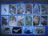 HOPCT LOT NR 5-16 CARTONASE FAUNA -WWF- ITALIA