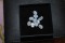 icon 5