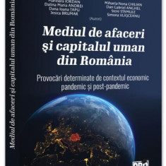 Mediul de afaceri și capitalul uman din România - Paperback brosat - Marioara Iordan, Mihaela Nona Chilian - Pro Universitaria