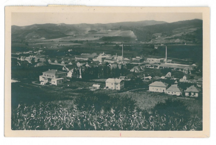 3546 - MEDIAS, Sibiu, Glass Factory - old postcard, real PHOTO - used - 1937