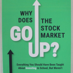 WHY DOES THE STOCK MARKET GO UP ? by BRIAN FEROLDI , 2021