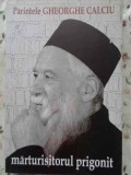 MARTURISITORUL PRIGONIT. PREDICI, ESEURI SI MEDITATII RELIGIOASE-PARINTELE GHEORGHE CALCIU-273330
